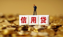 成都应急私人正规借贷-成都应急小额私人借贷-成都应急身份证线下贷款