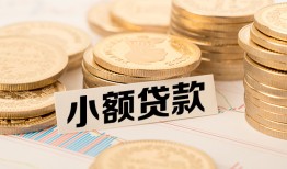 成都应急哪里有小额贷款-成都应急身份证贷款平台-成都应急民间短借