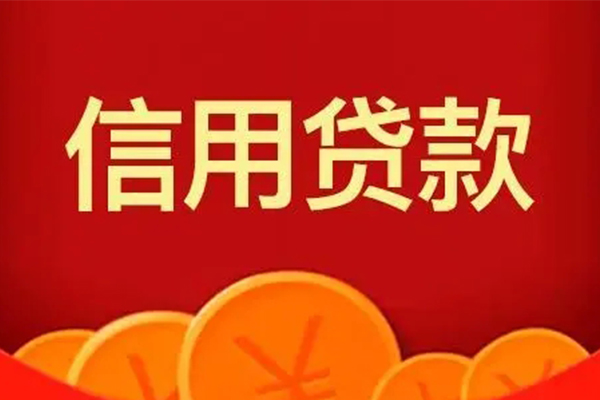 成都应急个人私借
